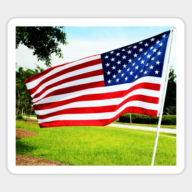 American Flag Sticker by Cynthia48